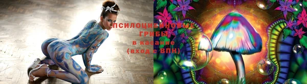 индика Алексеевка