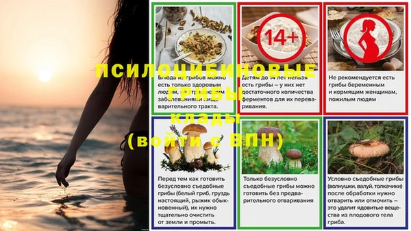 эйфоретик Абаза
