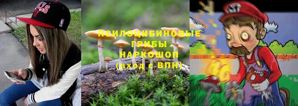 индика Алексеевка