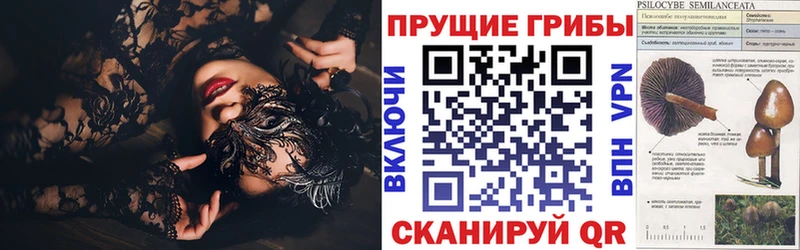 blacksprut как войти  Сатка  Галлюциногенные грибы MAGIC MUSHROOMS 