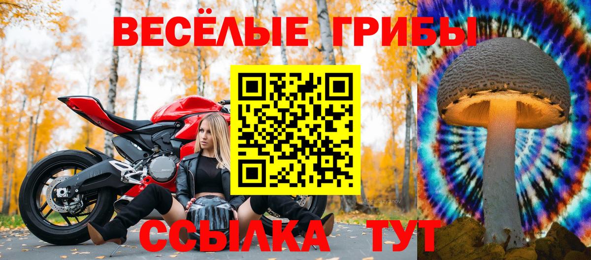Галлюциногенные грибы Cubensis  Вход с VPN  Сатка 